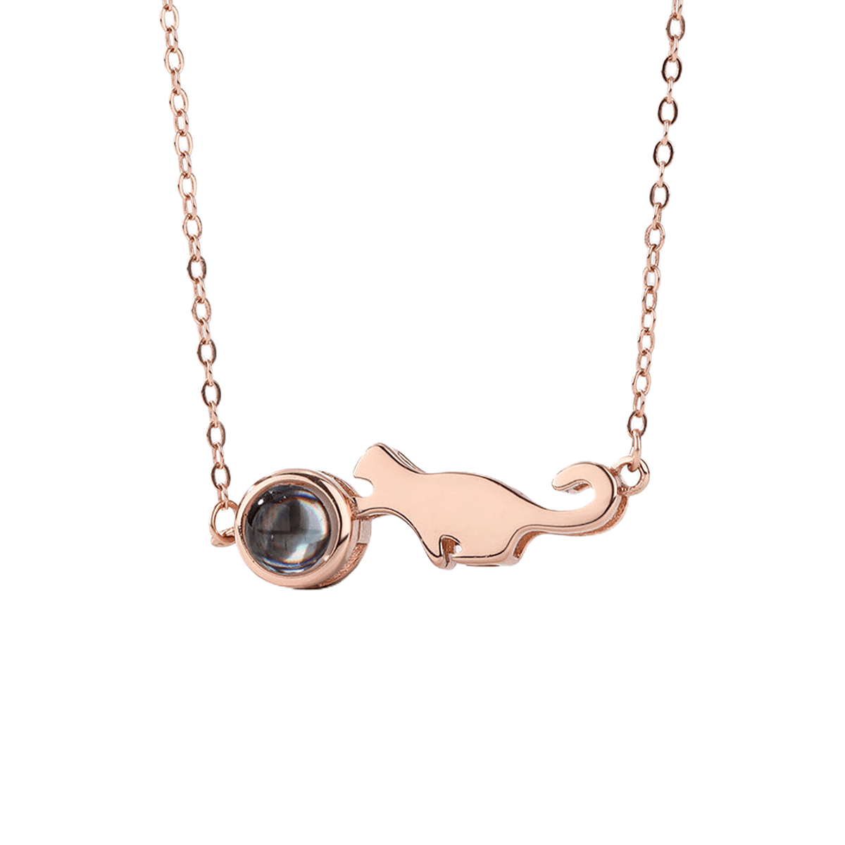 Dinosaur Photo Projection Necklace