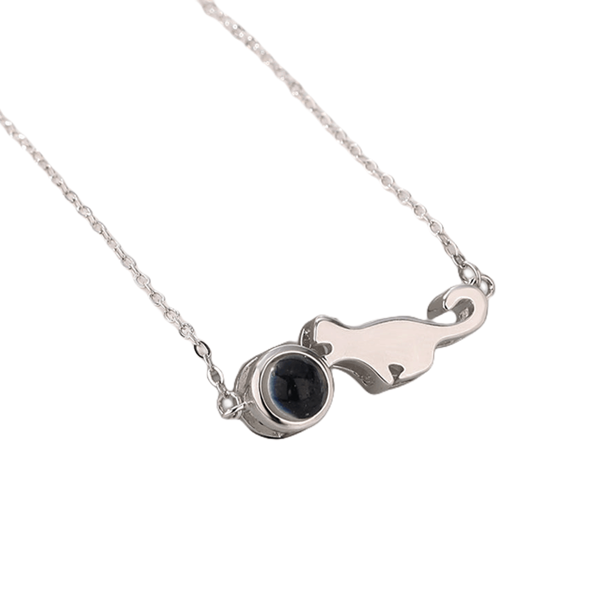 Dinosaur Photo Projection Necklace