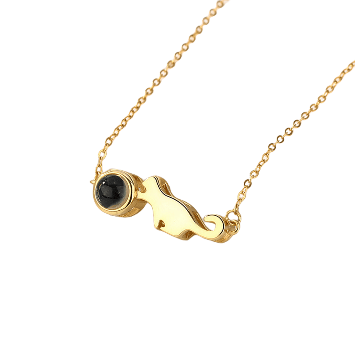 Dinosaur Photo Projection Necklace